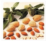 Almond  Made in Korea